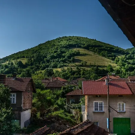 Torlacite * Chiprovtsi